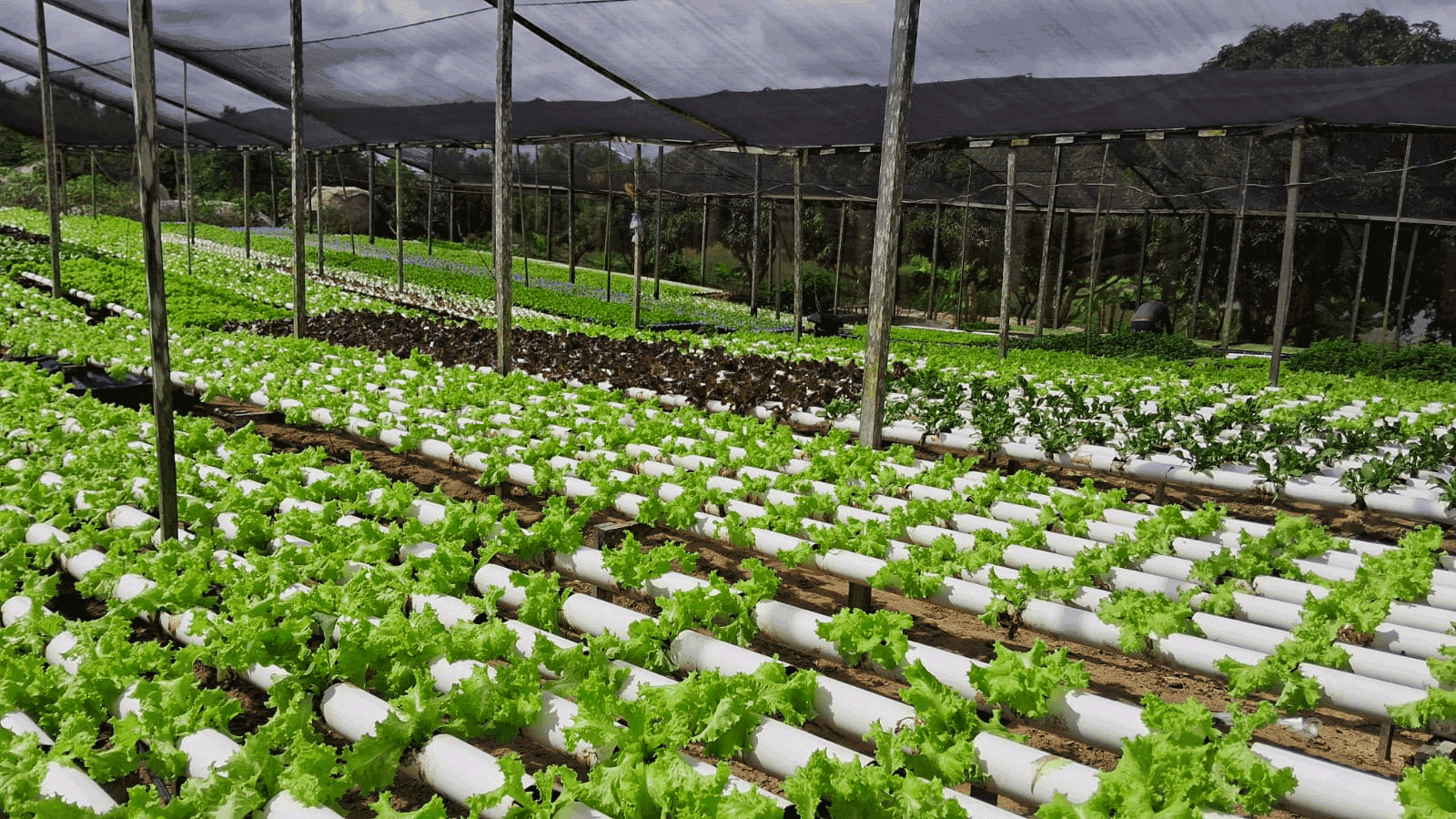 Objetivo do projeto - agricultura familiar e territórios